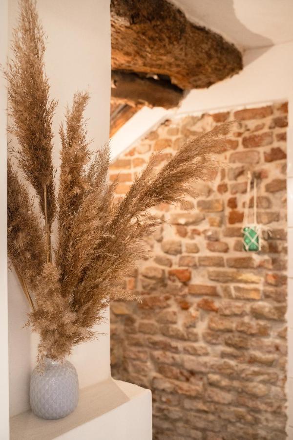 La Trave Bed and Breakfast Montecosaro  Buitenkant foto
